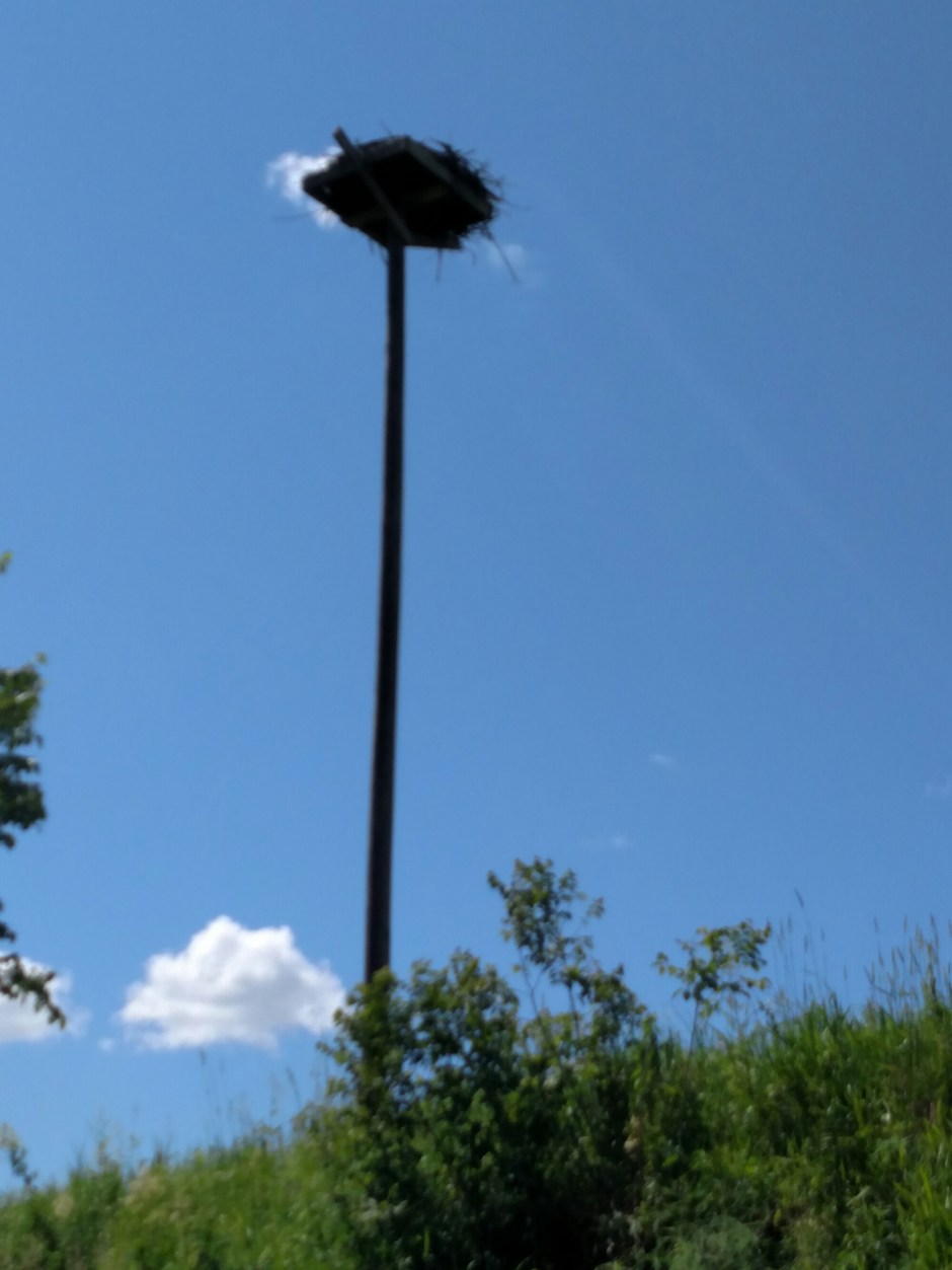 wp-1466806578898 image