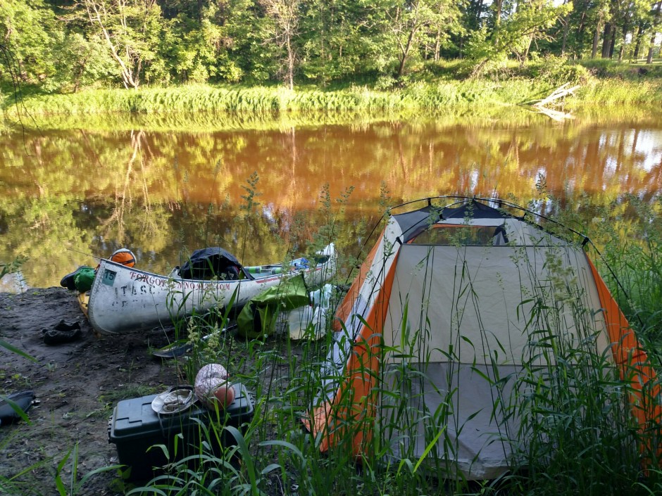 wp-1466806702999 image